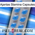 Ajantas Stamina Capsules 22